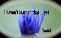 Flower with quotation by Dweck "I haven't learned that ...yet."