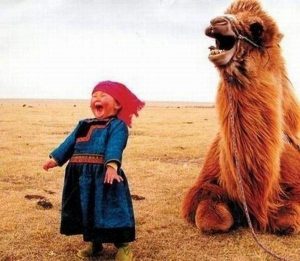 Girl and Camel Laughing